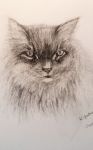 Katze, Bleistift 40x30 cm