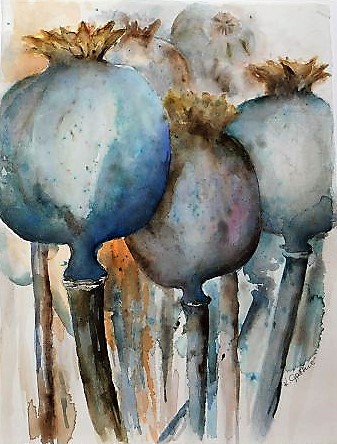 Mohnkapseln ,Aquarell, 29x38 cm