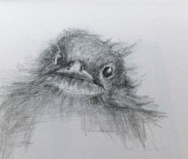 Wo bleibt das Futter